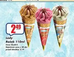 Sezamek Lody Koral oferta