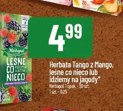Polomarket Herbata Leśne co nieco Herbapol oferta