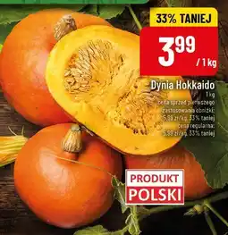 Polomarket Dynia Hokkaido POLOmarket oferta