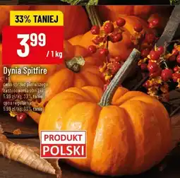 Polomarket Dynia Spitfire POLOmarket oferta