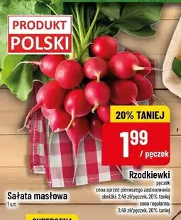 Polomarket Rzodkiewki POLOmarket oferta