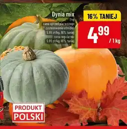 Polomarket Dynia mix POLOmarket oferta