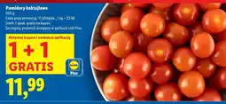Lidl Pomidory koktajlowe, 500 g 1+1 GRATIS Lidl oferta