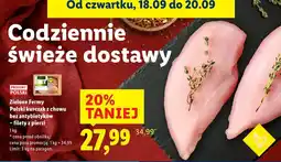 Lidl Polski kurczak z chowu bez antybiotyków - filety z piersi Zielone Fermy oferta