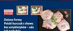 Lidl Uda kurczaka z chowu bez antybiotyków Zielone Fermy oferta