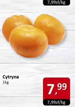 Market Point Cytryna Market Point oferta