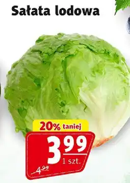 Prim Market Sałata lodowa Prim Market oferta