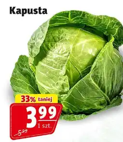 Prim Market Kapusta Prim Market oferta
