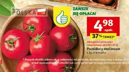 Auchan Pomidory malinowe 1 kg w koszyku Auchan oferta