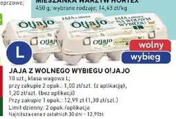 Stokrotka Jaja z wolnego wybiegu Oijajo oferta