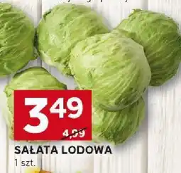 Stokrotka Sałata lodowa Stokrotka oferta