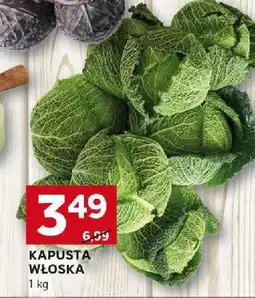 Stokrotka Kapusta włoska Stokrotka oferta
