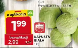 Stokrotka Kapusta biała Stokrotka oferta