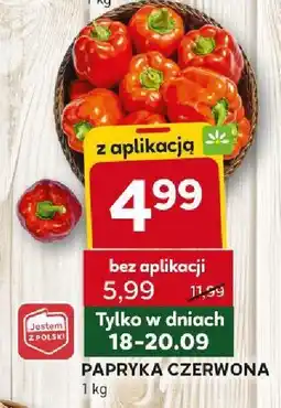 Stokrotka Papryka czerwona Stokrotka oferta