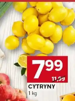 Stokrotka Cytryny Stokrotka oferta