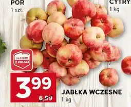 Stokrotka Jabłka wczesne Stokrotka oferta
