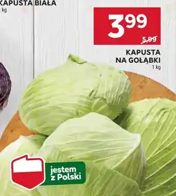 Stokrotka Kapusta na gołąbki Stokrotka oferta