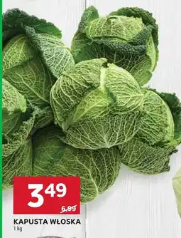 Stokrotka Kapusta włoska Stokrotka oferta