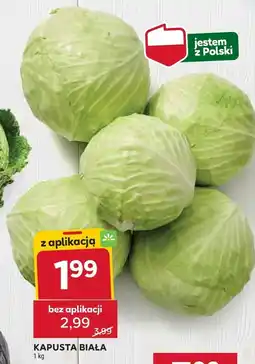 Stokrotka Kapusta biała Stokrotka oferta