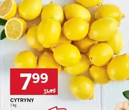 Stokrotka Cytryny Stokrotka oferta