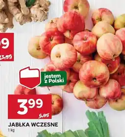 Stokrotka Jabłka wczesne Stokrotka oferta