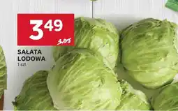 Stokrotka Sałata lodowa Stokrotka oferta
