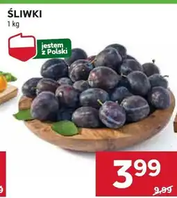 Stokrotka Śliwki Stokrotka oferta