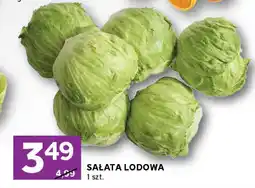Stokrotka Sałata lodowa Stokrotka oferta