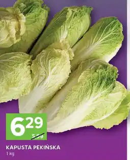 Stokrotka Kapusta pekińska Stokrotka oferta