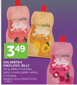 Stokrotka Galaretka owocowa Jelly Owolovo oferta
