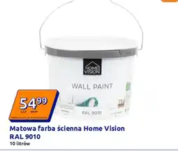 Action Farba Home Vision oferta