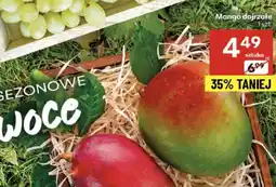 Delikatesy Centrum Mango oferta
