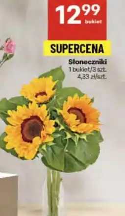 Delikatesy Centrum Słoneczniki oferta