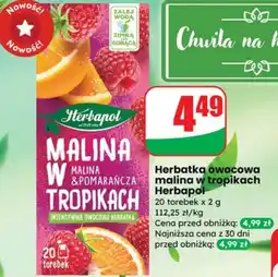 Dino Herbata owocowa Herbapol oferta