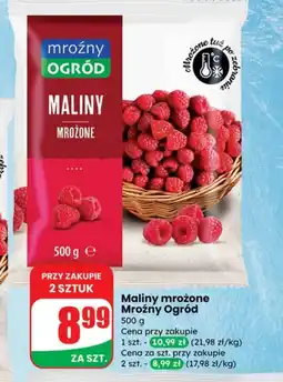 Dino Mrożone maliny Mroźny ogród oferta