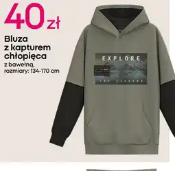 Pepco Bluza chłopięca E oferta