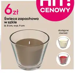 Pepco Świeca zapachowa oferta