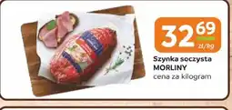 Gama Szynka soczysta Morliny oferta