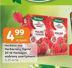 Gama Herbata ekspresowa Herbapol Herbaciany Ogród oferta