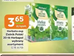 Gama Herbata ekspresowa Zielnik Polski oferta