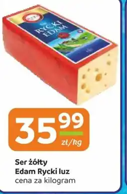 Gama Ser żółty Edam Rycki luz oferta