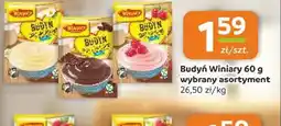 Gama Budyń Winiary oferta