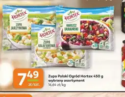 Gama Zupa Polski Ogród Hortex oferta