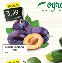 Spiżarnia Smakosza Sliwka ciemna oferta
