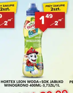 Spiżarnia Smakosza Hortex Leon Woda + Sok Jabłko Winogrono oferta