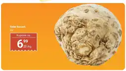 Biedronka Seler korzeń Biedronka oferta