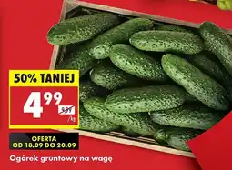 Biedronka Ogórek gruntowy na wagę Biedronka oferta