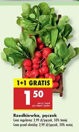 Biedronka Rzodkiewka Biedronka oferta