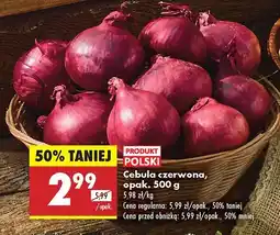 Biedronka Cebula czerwona Biedronka oferta