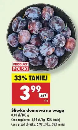 Biedronka Śliwka domowa Biedronka oferta